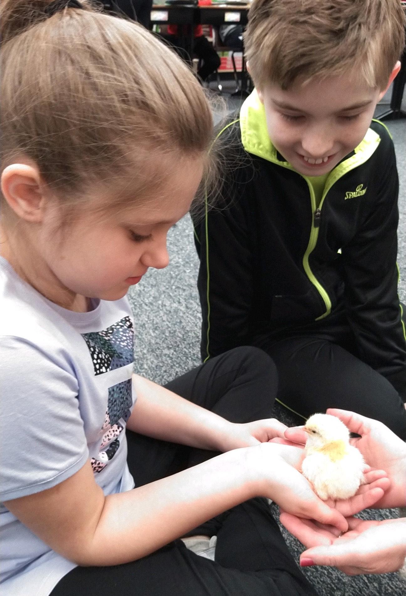 Brylee Lawson and Dylan Landram hold a baby chick